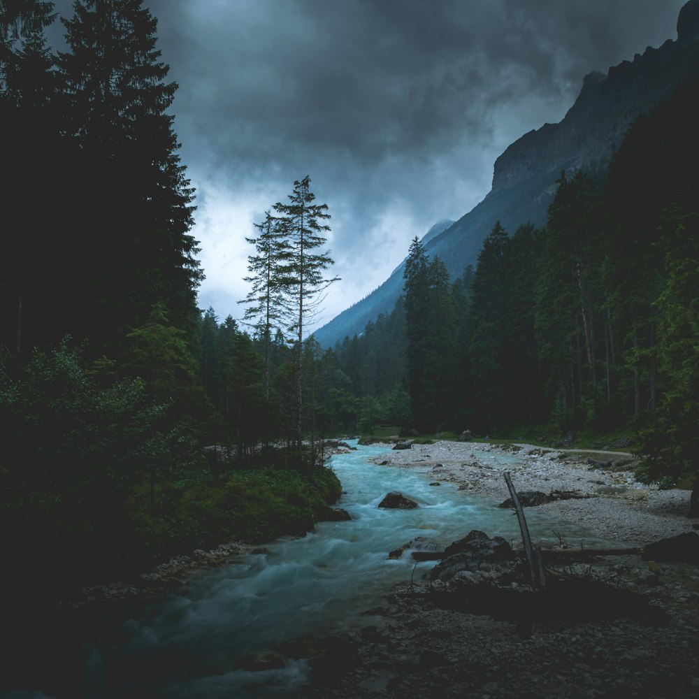 Rivière dans une vallée boisée
